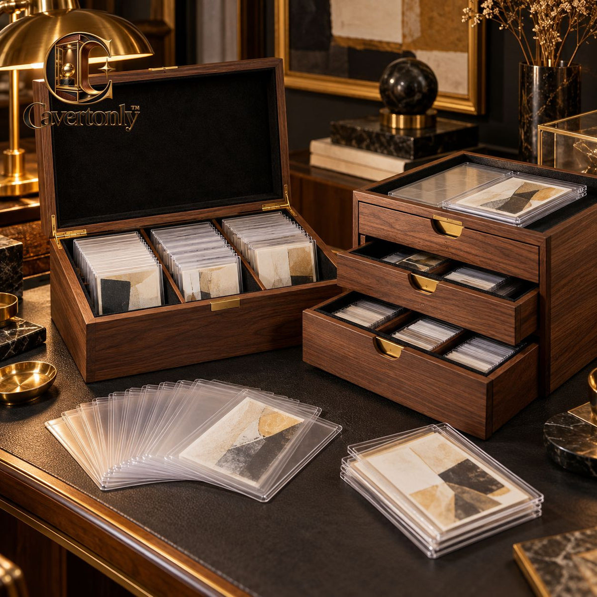 Cavertonly™ Collector Organization Kit image 1/5